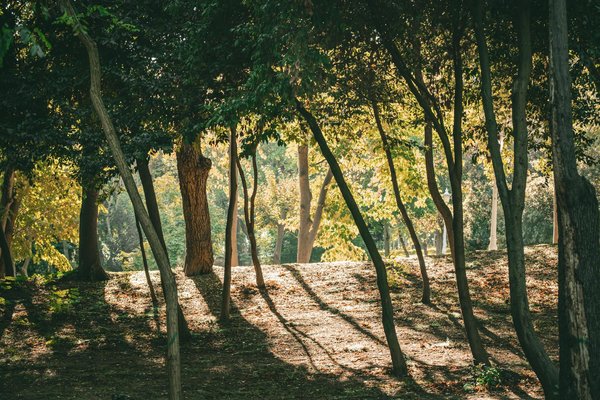 La psycho-gérontologie: une discipline en expansion